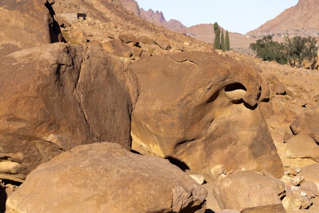 Incredibile alba sul monte Sinai, bellissima alba in Egitto, bellissima vista dalla montagna