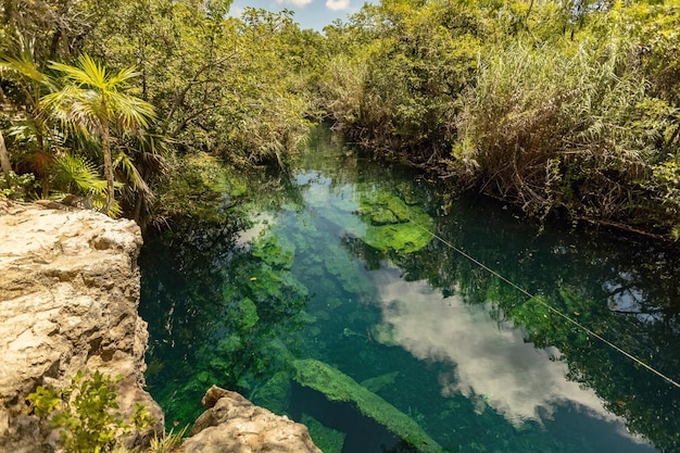 Incredibile cenote di acqua turchese a casa Tortuga a Tulum Cenote messicano bellezza naturale Tulum Messico