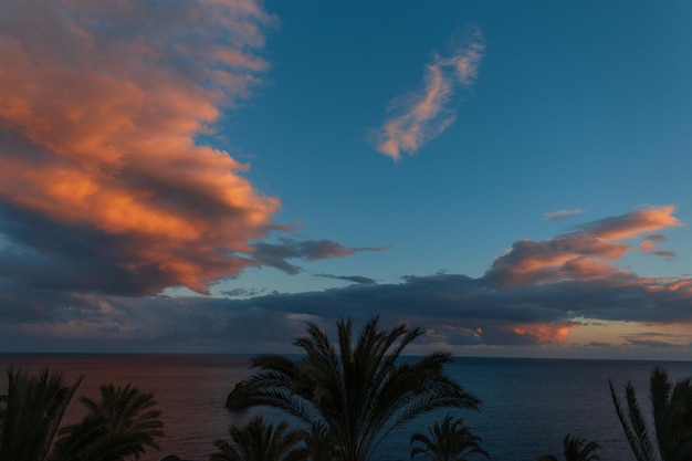 Incredibile cielo blu al tramonto con palme e nuvole nell'isola di Madeira