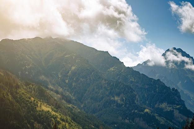 Incredibile estate nella natura in montagna Viaggi ed escursioni