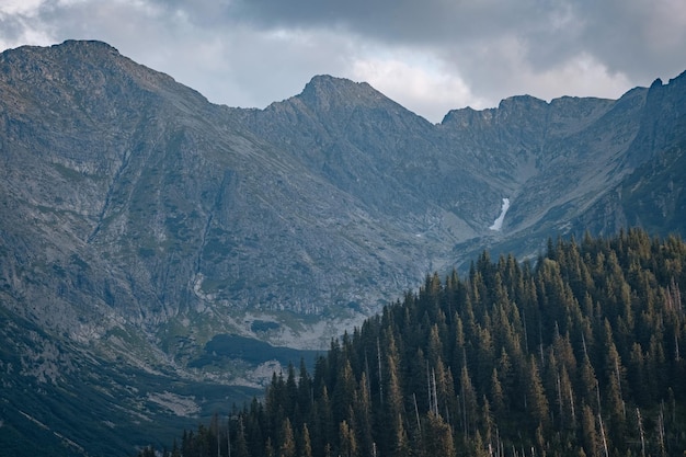 Incredibile estate nella natura in montagna Viaggi ed escursioni