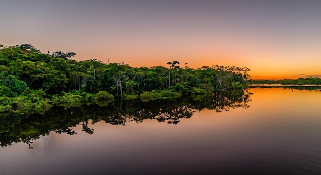 Incredibile fiume amazzonico con un bellissimo tramonto