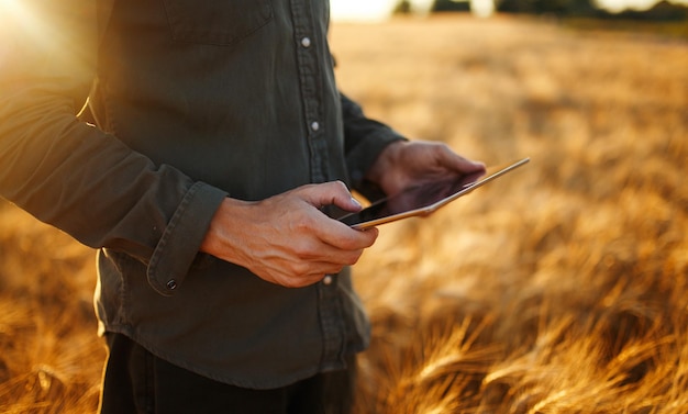 Incredibile foto dell'agricoltore che controlla i progressi del campo di grano che tiene il tablet utilizzando Internet