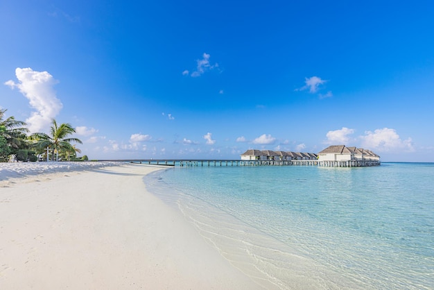 Incredibile hotel resort tropicale delle Maldive e isola con spiaggia di sabbia e mare in vacanza in cielo