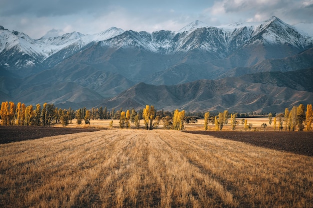 Incredibile paesaggio autunnale del Kirghizistan in una sera d'autunno vicino al lago IssykKul