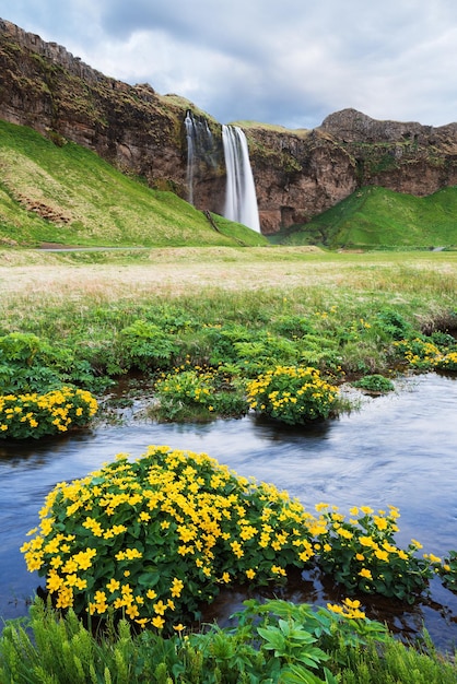 Incredibile paesaggio con cascata in Islanda