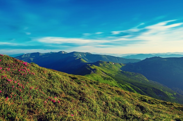 Incredibile paesaggio di montagna