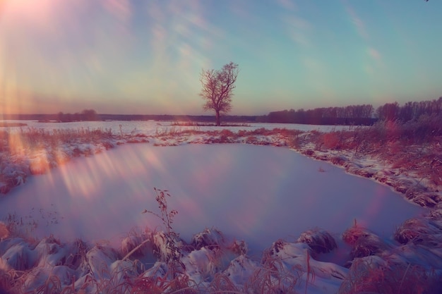 incredibile paesaggio invernale al tramonto nella foresta