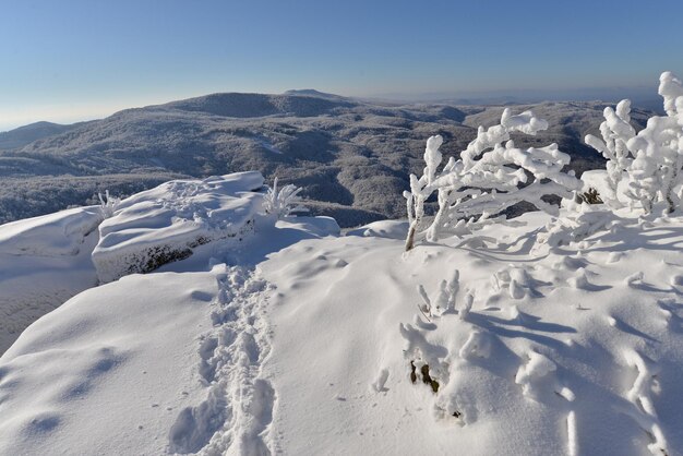 Incredibile paesaggio invernale con le montagne di Vihorlat