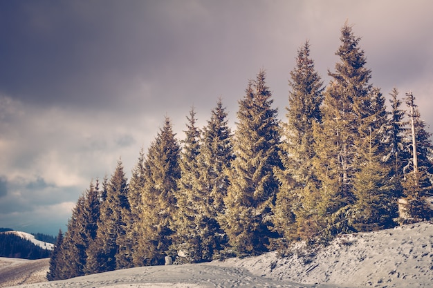 Incredibile paesaggio invernale serale