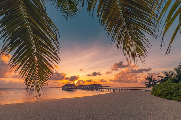Incredibile paesaggio sulla spiaggia Bellissimo paesaggio marino al tramonto delle Maldive Orizzonte colorato mare cielo nuvole palme