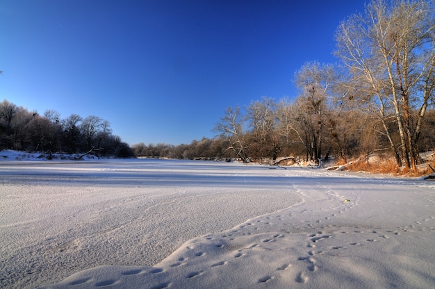 Incredibile panorama di alberi decidui che crescono sulle rive del fiume in una giornata di sole primaverile