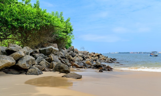 Incredibile spiaggia di sabbia bianca rocciosa a Galle Sri Lanka Pittoresca fotografia del paesaggio della spiaggia della giungla in una giornata di sole Verde spiaggia rocce e le calme onde del mare Destinazione turistica panoramica a Galle