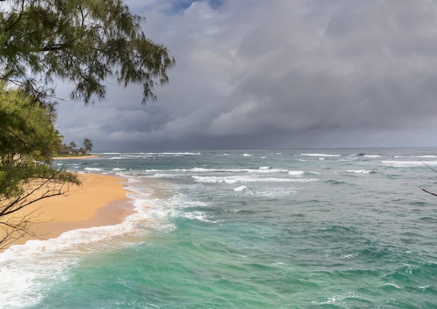 Incredibile spiaggia hawaiana. Onda nell'oceano al tramonto o all'alba con il surfista. Onda con i caldi colori del tramonto.