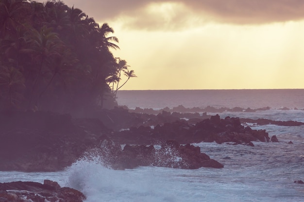 Incredibile spiaggia hawaiana. Onda nell'oceano e costa lavica vulcanica