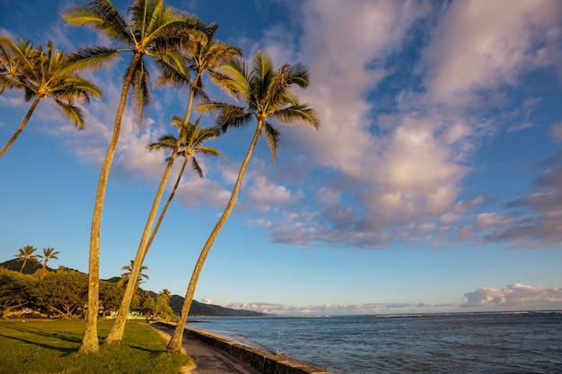 Incredibile spiaggia hawaiana