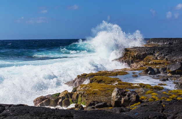 Incredibile spiaggia hawaiana