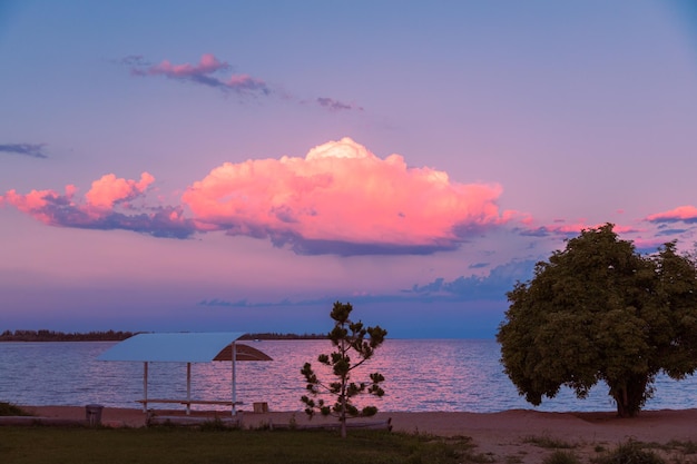 Incredibile tramonto colorato sul lago con enormi nuvole e silhouette ad albero