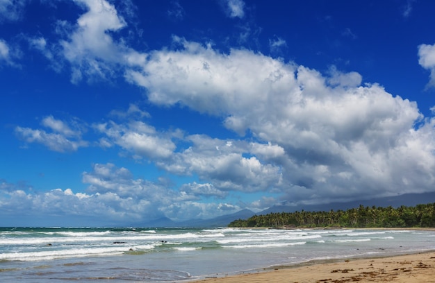 Incredibile vista panoramica della baia del mare e delle isole di montagna, Palawan, Filippine