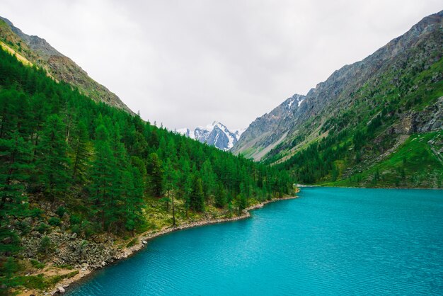 Incredibili montagne con foreste di conifere e fiume blu