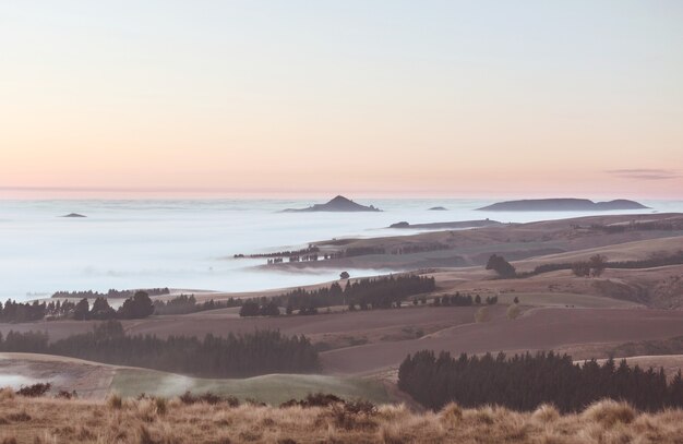 Incredibili paesaggi rurali nebbiosi al mattino. Nuova Zelanda bellissima natura