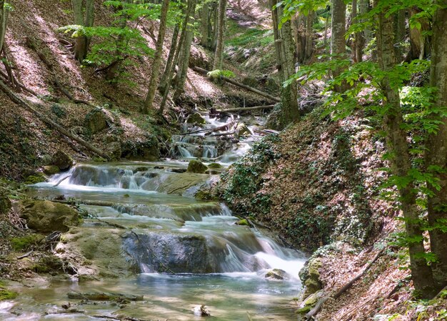 Increspature e cascate sul fiume di montagna primaverile nella foresta oscura. Esposizione a lungo termine.