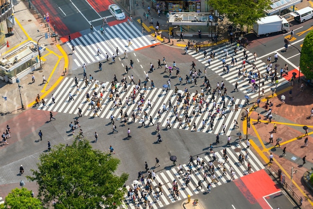 Incrocio di Shibuya dalla vista dall'alto a Tokyo, Giappone