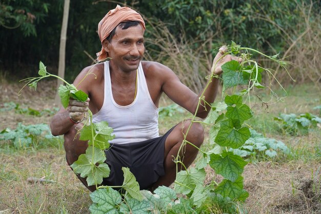 Indian Handsome Farmer nel suo villaggio che lavora per le verdure