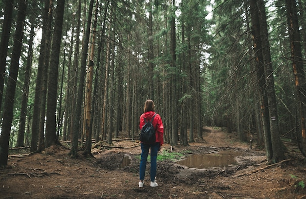 Indietro di una ragazza durante un'escursione, si trova su uno sfondo di sentieri forestali con una pozzanghera