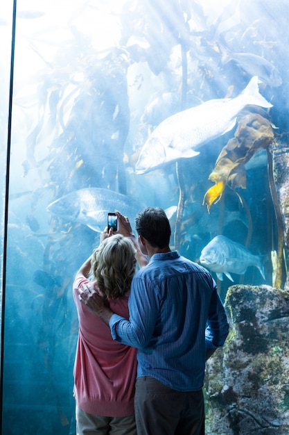 Indossare la vista di un paio di scattare foto di pesce