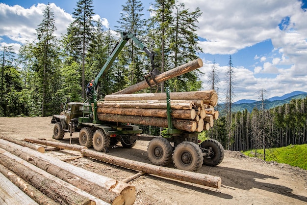 Industria forestale Benna per legname con pala gommata Abbattimento di alberi tagliati Area di taglio forestale Concetto di protezione della foresta Taglialegna con moderna mietitrice che lavora in una foresta
