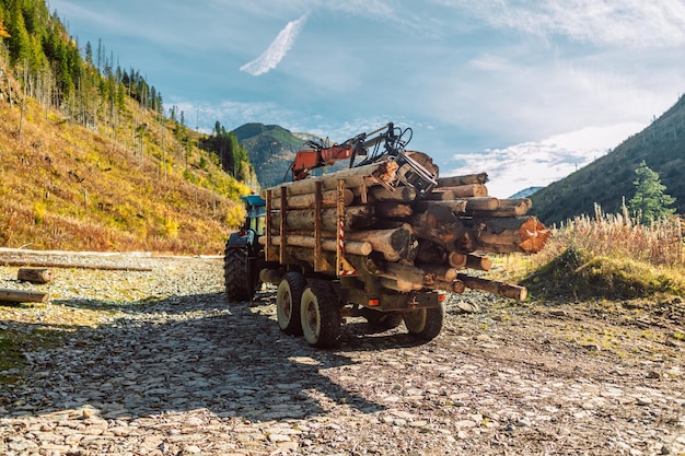 Industria forestale pala gommata con benna per legname abbattimento di alberi tagliati nella parte anteriore dell'area di taglio forestale