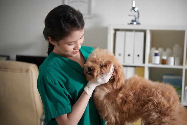 Infermiera veterinaria che gioca con il cane