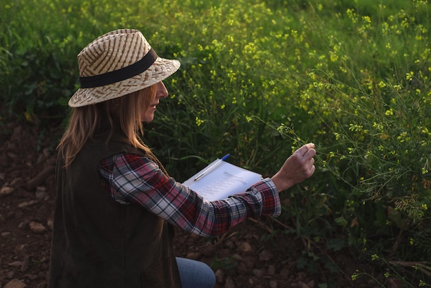 Ingegnere sul campo femminile che esamina la piantagione agricola Agronomo di integrazione donne nel campo