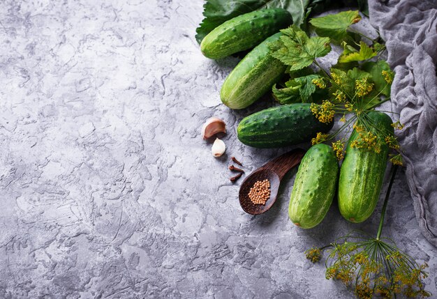 Ingredienti per cucinare i cetrioli sottaceto. Vista dall&#39;alto