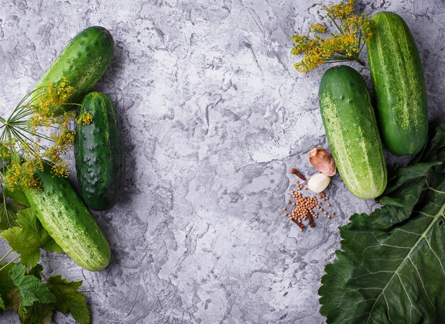 Ingredienti per cucinare i cetrioli sottaceto. Vista dall&#39;alto