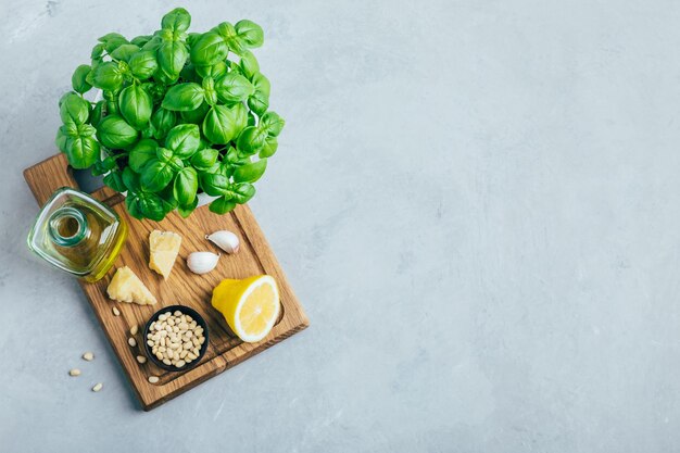 Ingredienti per il pesto Foglie di basilico Parmigiano reggiano pinoli olio d'oliva aglio limone sale