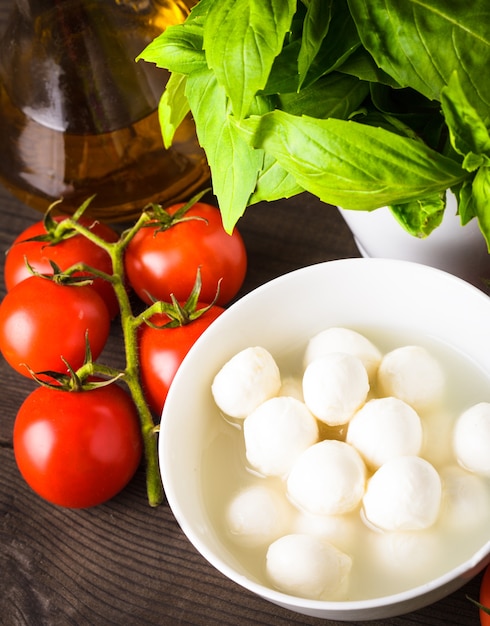 Ingredienti per l'insalata caprese: pomodoro, mozzarella, basilico fresco, olio d'oliva, spezie