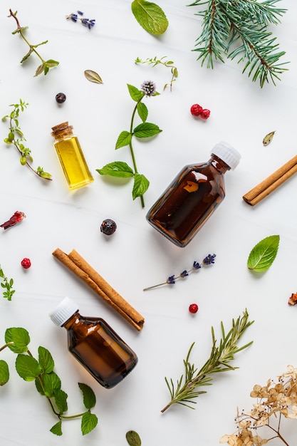 Ingredienti per olio essenziale. Diverse erbe e bottiglie di olio essenziale, sfondo bianco, flatlay.