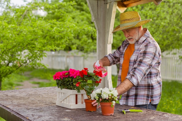 Innaffiare i fiori. Uomo dai capelli grigi che indossa un cappello estivo che innaffia i fiori in vasi in piedi fuori