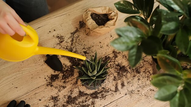 Innaffiare un fiore da un annaffiatoio da giardino Gli attrezzi da giardino giacciono su un tavolo di legno una pala