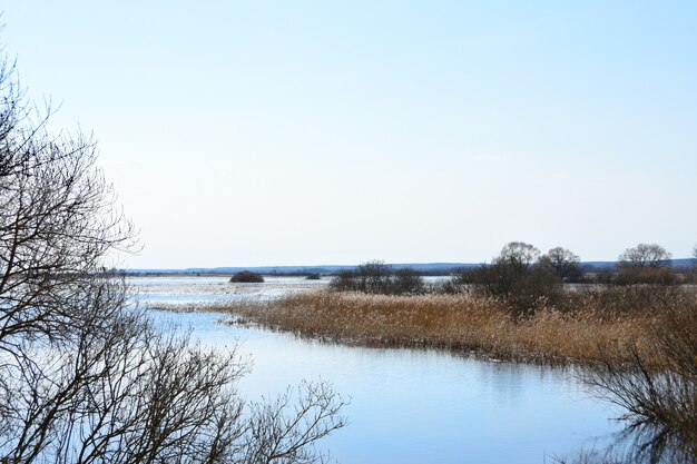 Inondazione di primavera del fiume sul campo