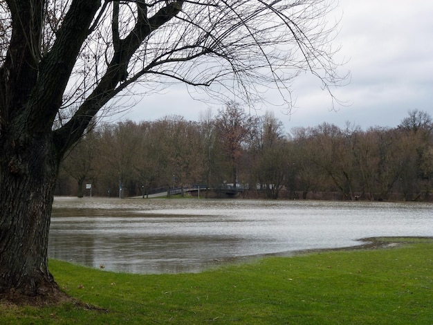 Inondazione primaverile Il fiume straripò dagli argini e si riversò tra gli alberi spogli del parco