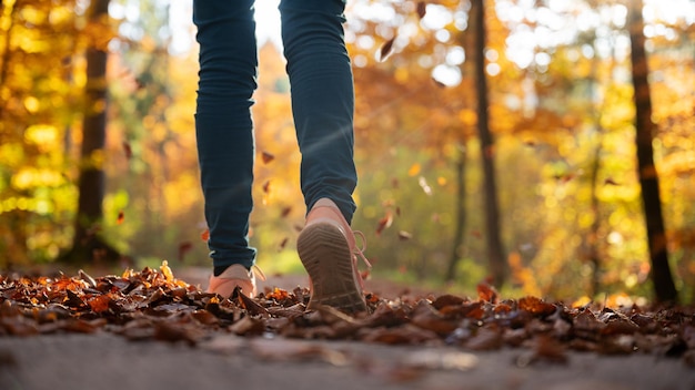 Inquadratura dal basso dei piedi femminili in snickers che camminano su una strada ricoperta di foglie autunnali nella bellissima natura colorata dell'autunno.