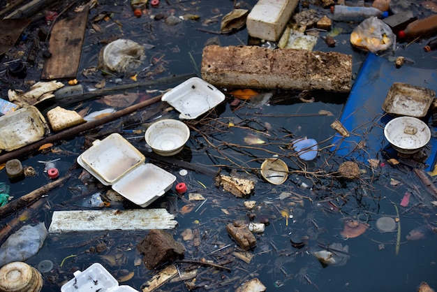 Inquinamento da spiaggia. Bottiglie di plastica e altri rifiuti sul fiume.