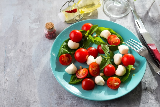 Insalata caprese italiana con pomodori rossi, mozzarella biologica fresca e basilico sul tavolo di pietra