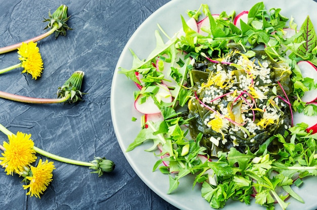 Insalata con alghe ed erbe aromatiche