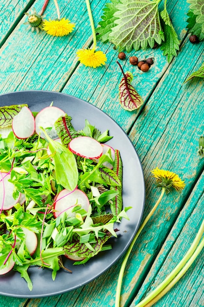 Insalata con erbe e ravanelli