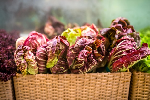 Insalata di cicoria sullo scaffale del supermercato