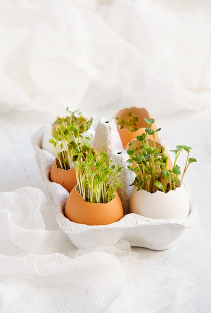 Insalata di crescione e in gusci d&#39;uovo - carta di Pasqua